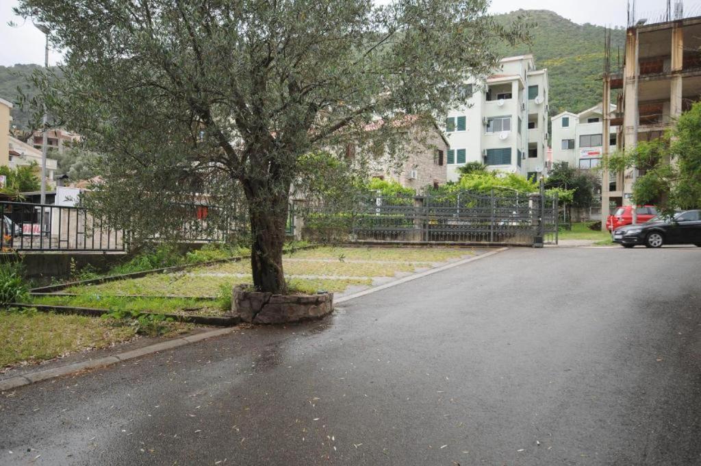 Apartment Jana Petrovac Εξωτερικό φωτογραφία